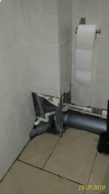 фото Отель на зеленой