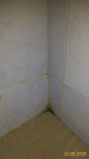 В этот раз не повезло...