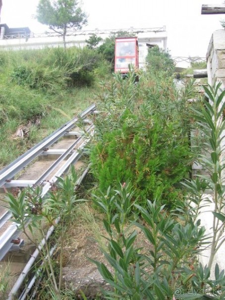 фото Alexander the Great