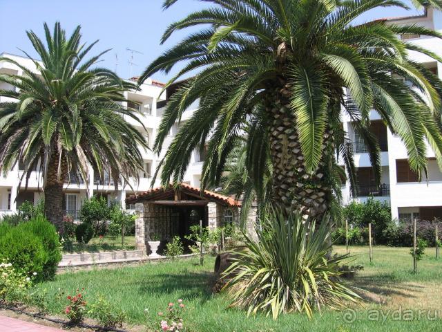 фото Alexander the Great