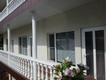 Наше потрясение - Чинар в Туапсе :)