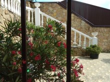 Наше потрясение - Чинар в Туапсе :)