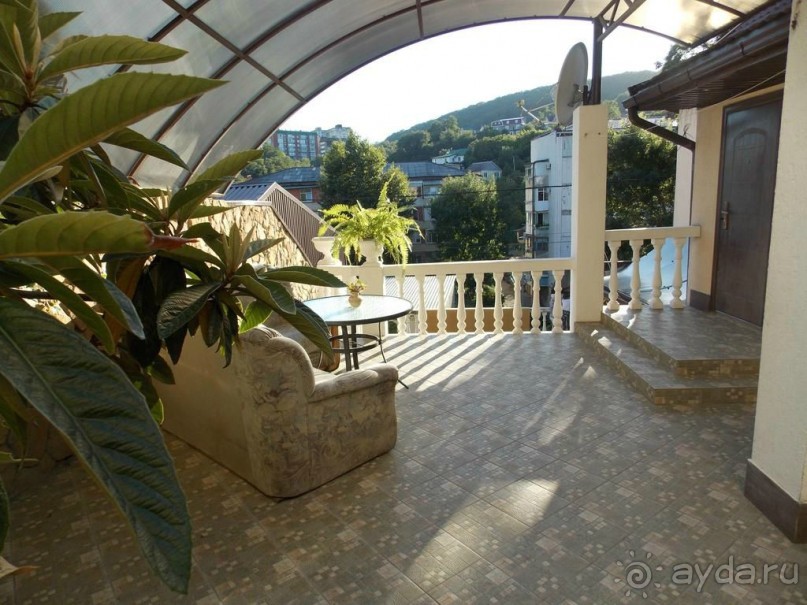 Наше потрясение - Чинар в Туапсе :)