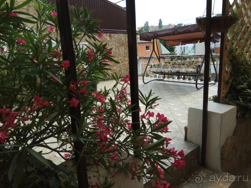 Наше потрясение - Чинар в Туапсе :)