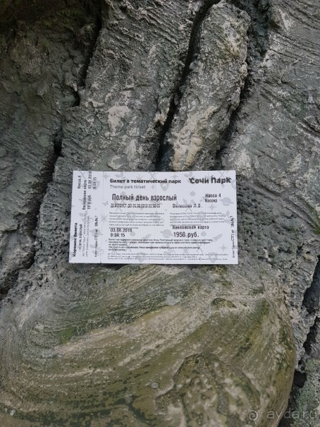 Не хуже Диснейлэнда!