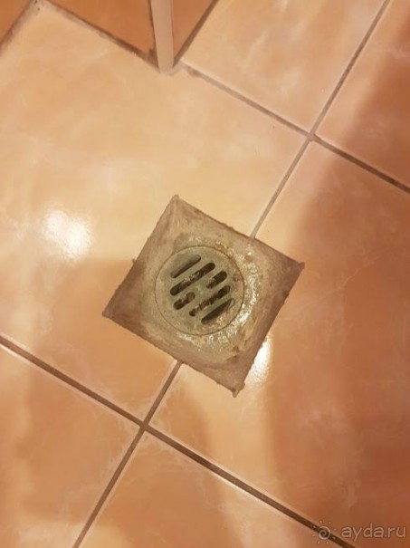 Papillon Belvil 5* – ужас в клубных номерах (бунгало), мебель со свалки и многое другое