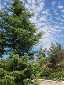 Парк с множеством развлечений