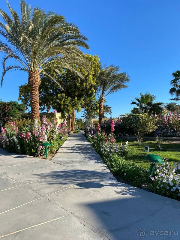 Хороший отель в Египте