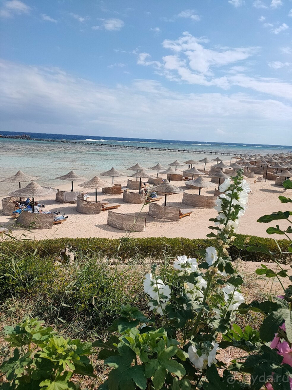 Хороший отель в Египте