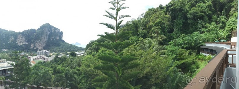 Очень приятный отель