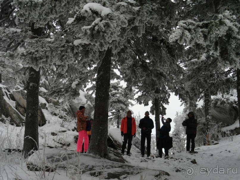 Малиновка ты лучшая