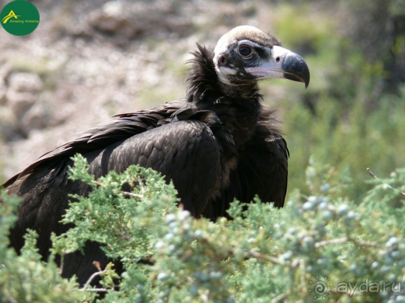 Хосровский Заповедник