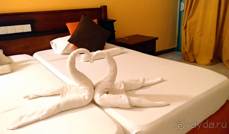 INDURUWA BEACH RESORT /Февраль 2020/