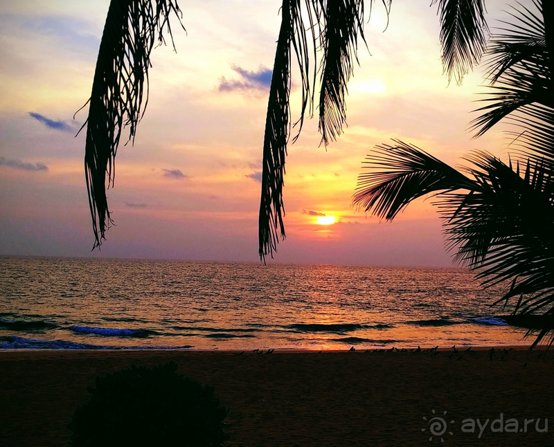 INDURUWA BEACH RESORT /Февраль 2020/