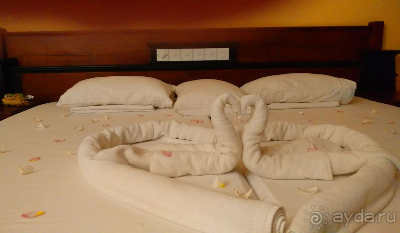 INDURUWA BEACH RESORT /Февраль 2020/