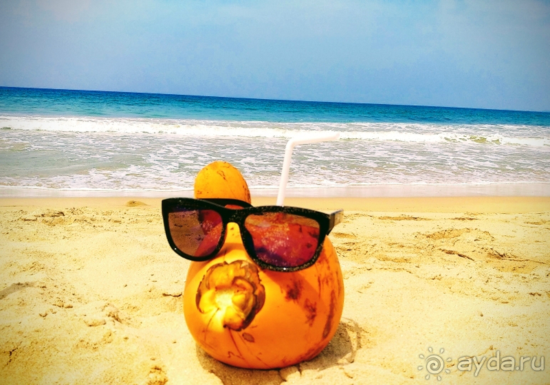 INDURUWA BEACH RESORT /Февраль 2020/