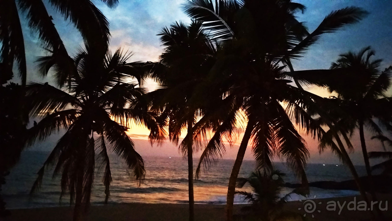 INDURUWA BEACH RESORT /Февраль 2020/