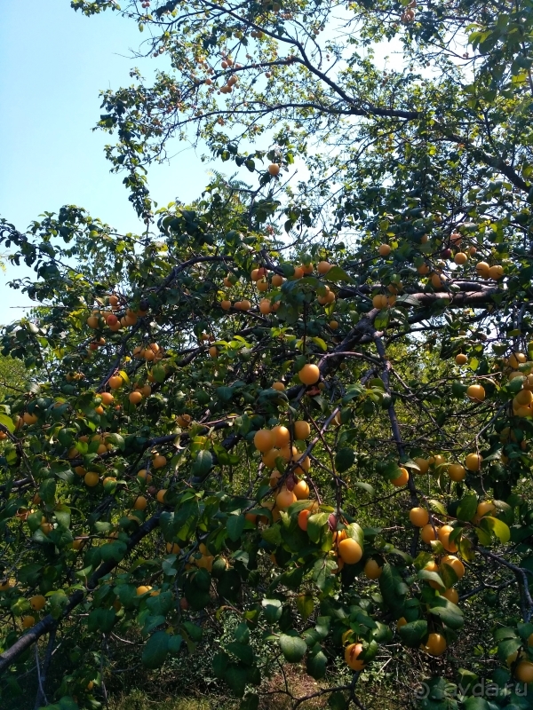 Время отдыха пролетело незаметно и с удовольствием.