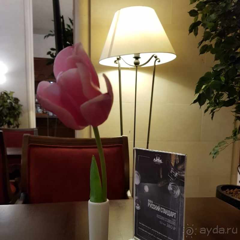 Настоящий семейный отель