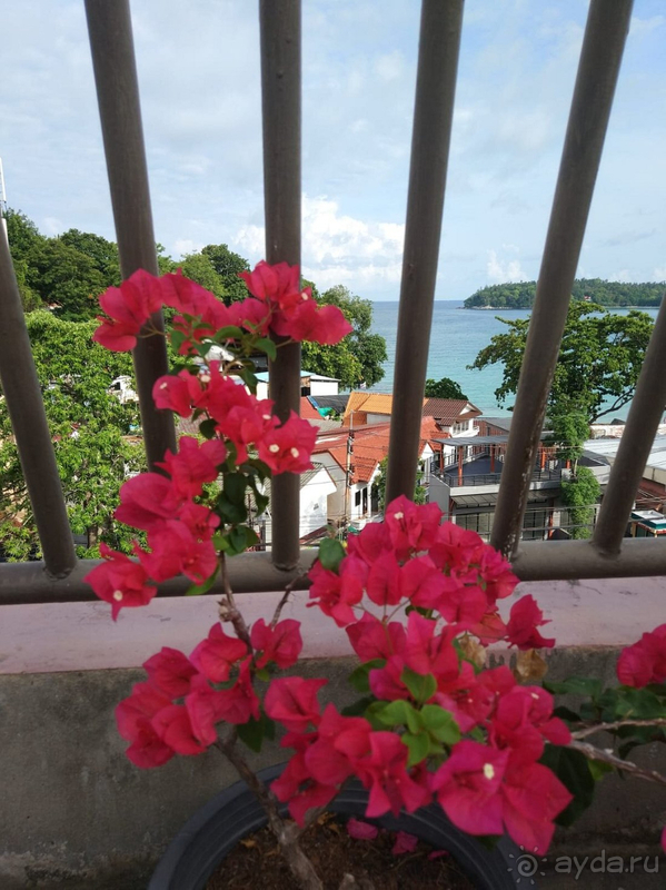 Мы в восторге!