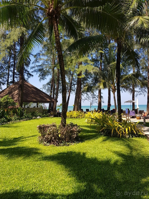 Прекрасный отель