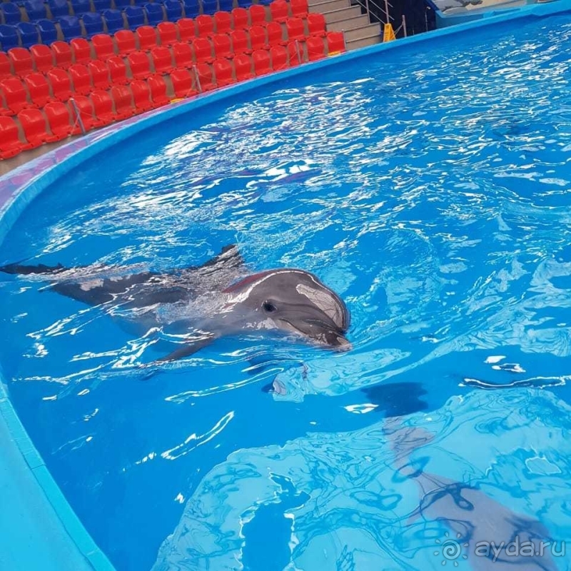 В любом случае советую, даже если с погодой не повезло.