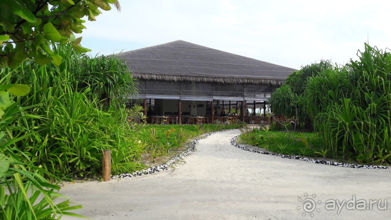 Сказочный отдых на Мальдивах 