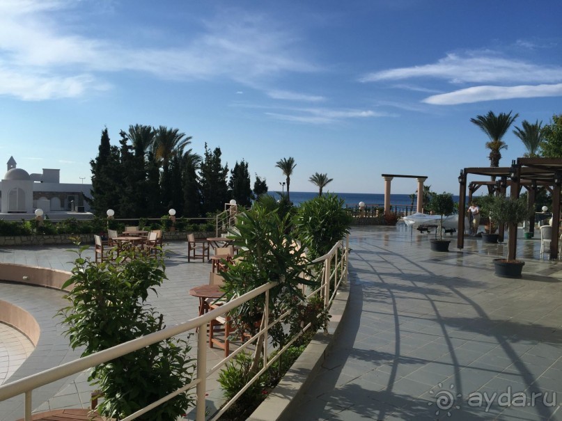 Очень достойно!