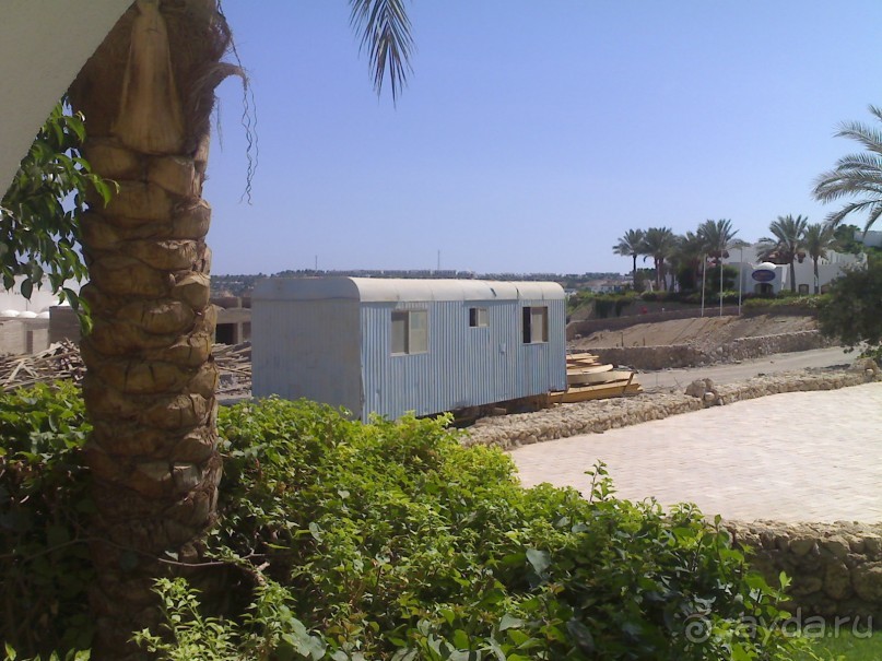 фото Domina Coral Bay Oasis