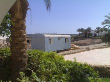 фото Domina Coral Bay Oasis