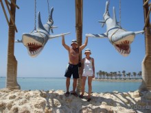 Учите русский язык, арабы...