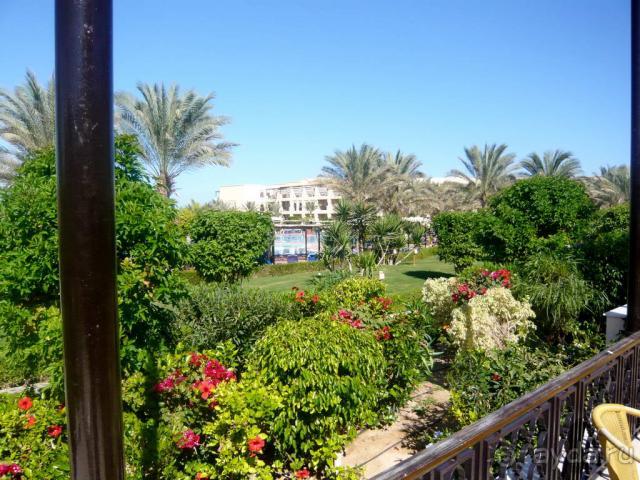 Все зеленое