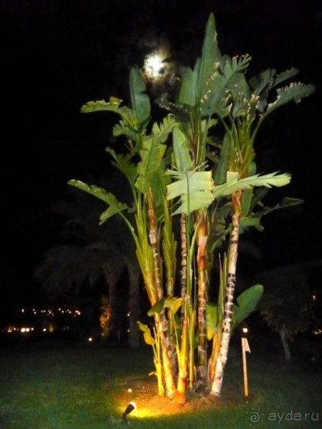 Ламая резорт