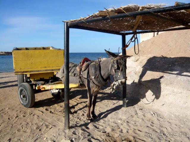 Ламая резорт