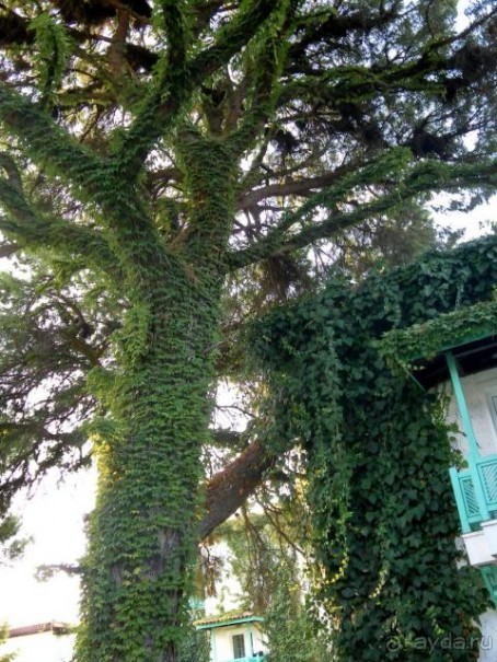 фото Club Marco Polo