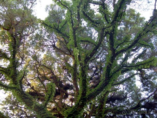 фото Club Marco Polo