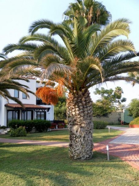 фото Club Marco Polo