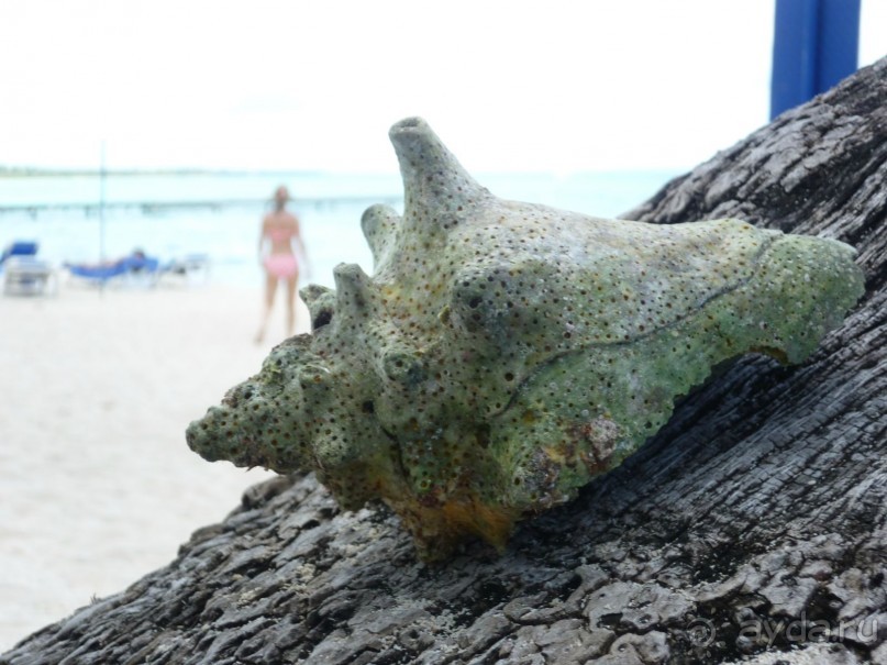 Отличное место для отдыха!