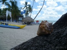 Отличное место для отдыха!