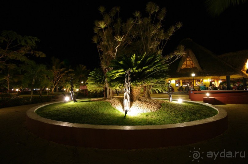 бар для вечерних посиделок с коктейлями