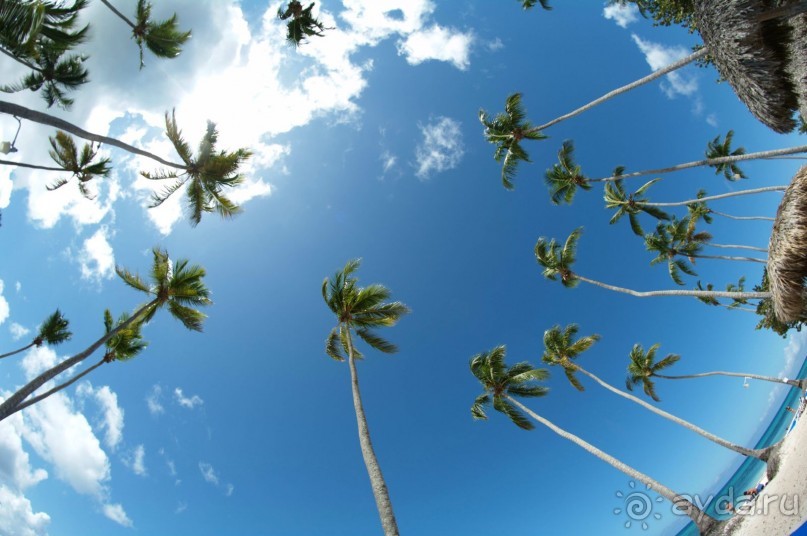 Отличное место для отдыха!