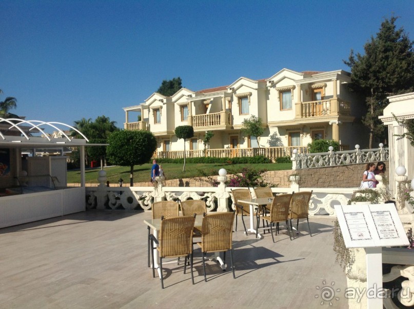 фото Alba Seleqtta