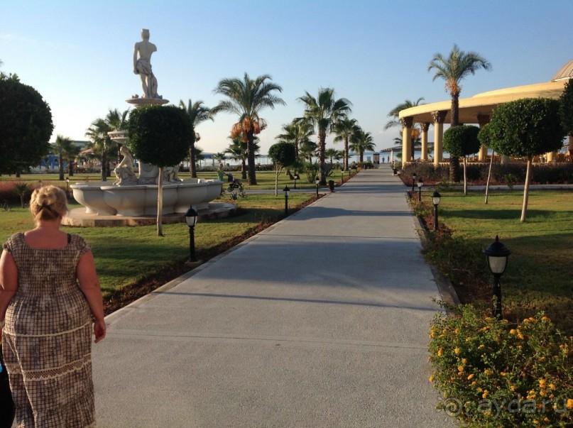 фото Alba Seleqtta