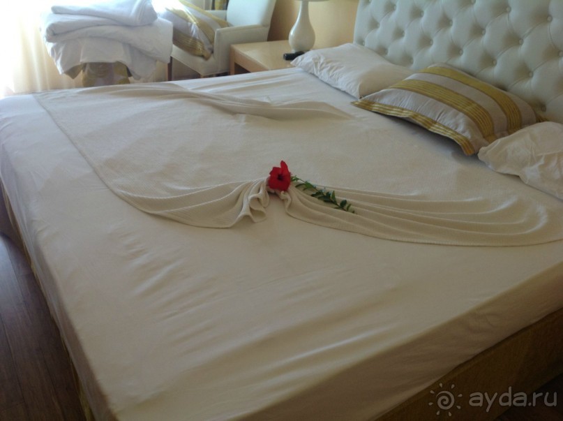 фото Alba Seleqtta