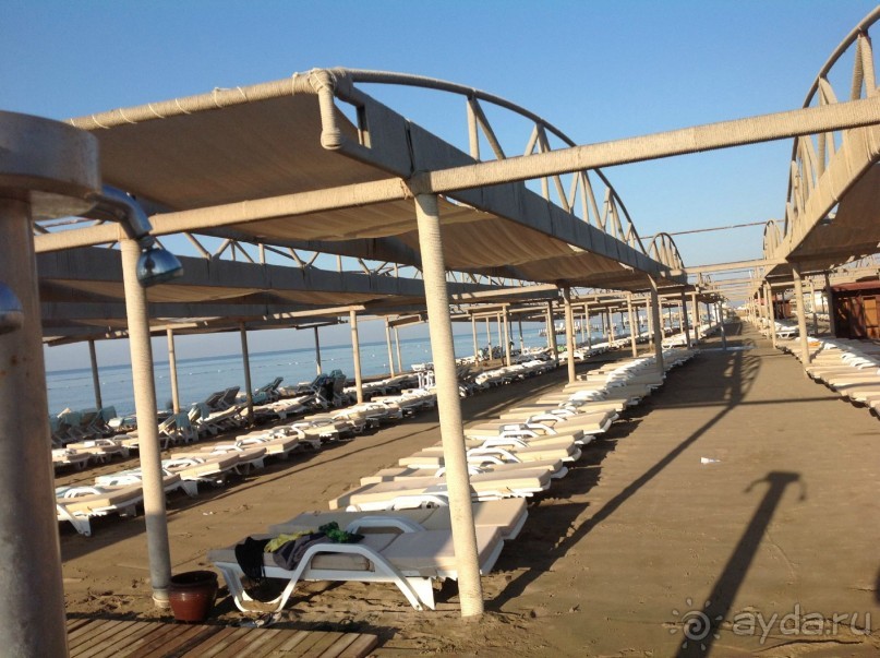 фото Alba Seleqtta