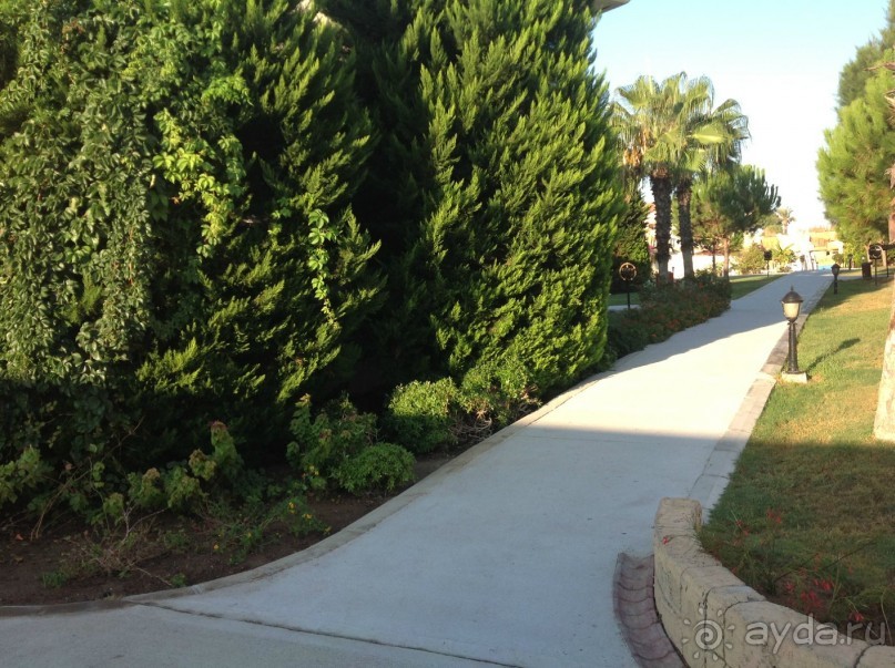 фото Alba Seleqtta