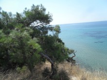 Калликратия в Халкидиках