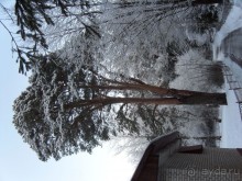 Все же это санаторий