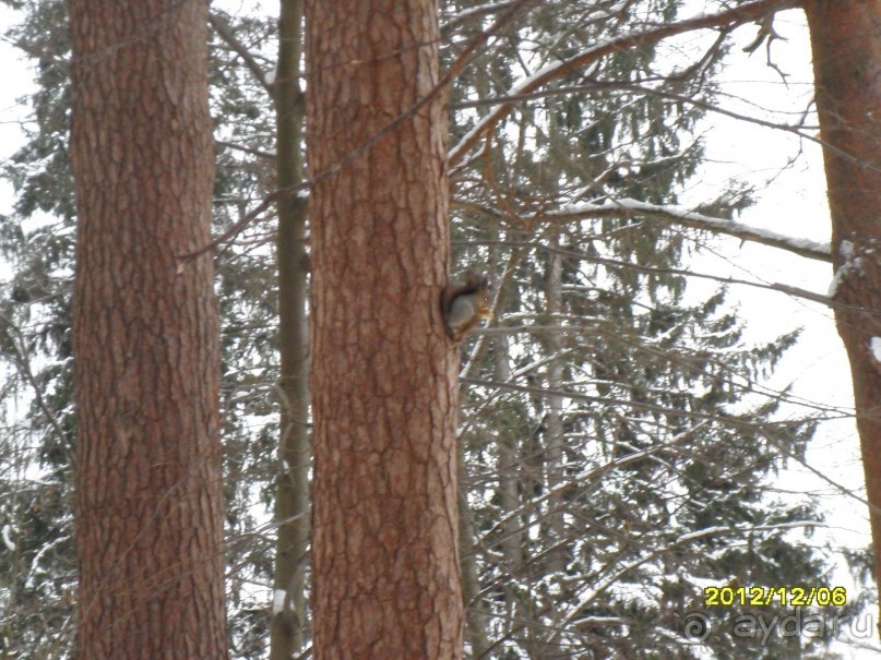 Все же это санаторий