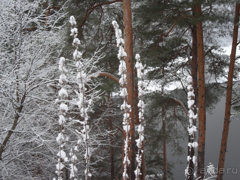 Все же это санаторий